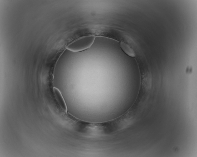 X0000110970221200906191343