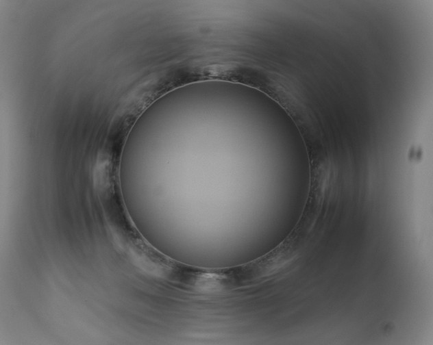 X0000110970222200906191343