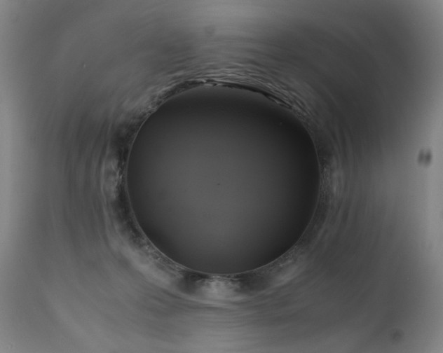 X0000110970223200906191343