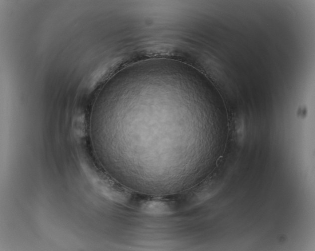 X0000110970224200906191343