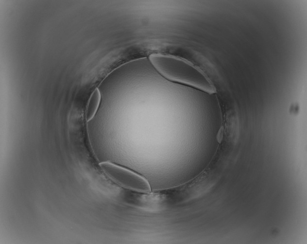 X0000110970225200906191343