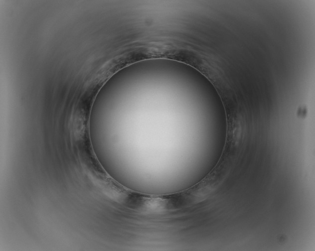 X0000110970226200906191343