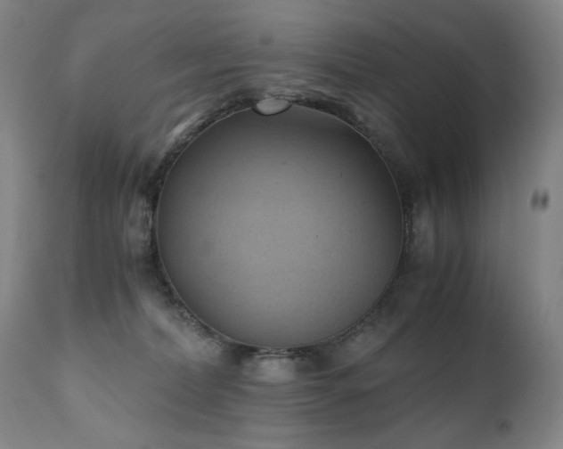 X0000110970228200906191343