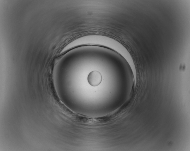 X0000110970229200906191343