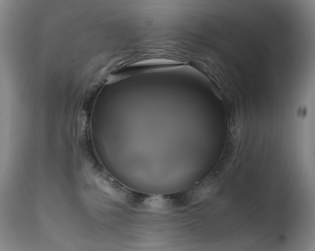 X0000110970231200906191343