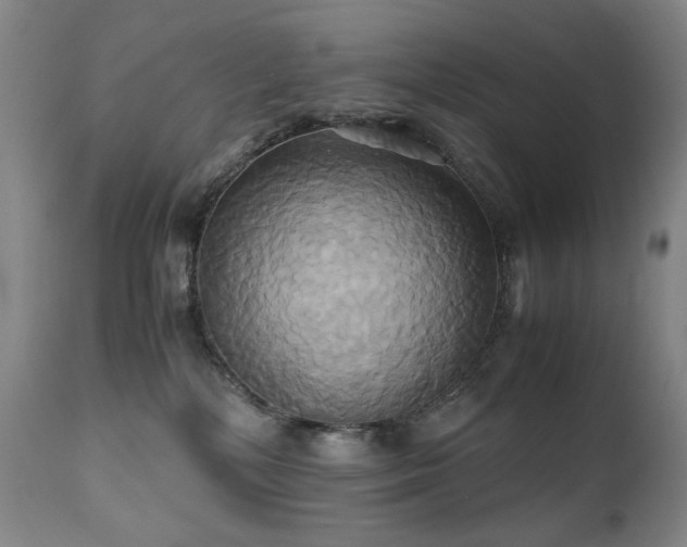 X0000110970232200906191343