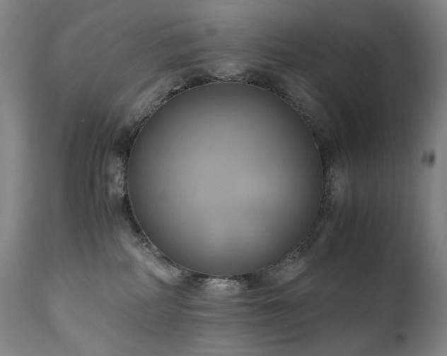 X0000110970234200906191343