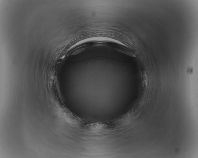 X0000110970235200906191343