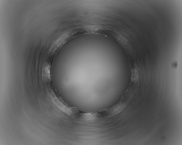 X0000110970238200906191343