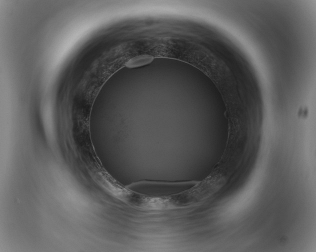 X0000110970239200906191343