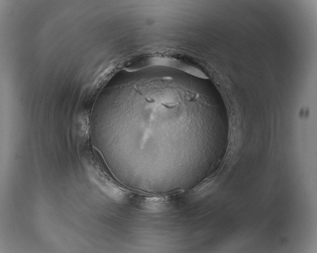 X0000110970240200906191343