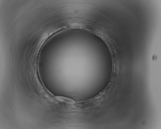 X0000110970241200906191342