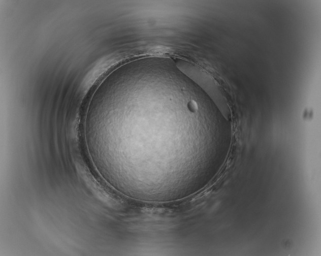 X0000110970242200906191342