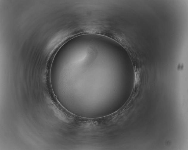 X0000110970243200906191342