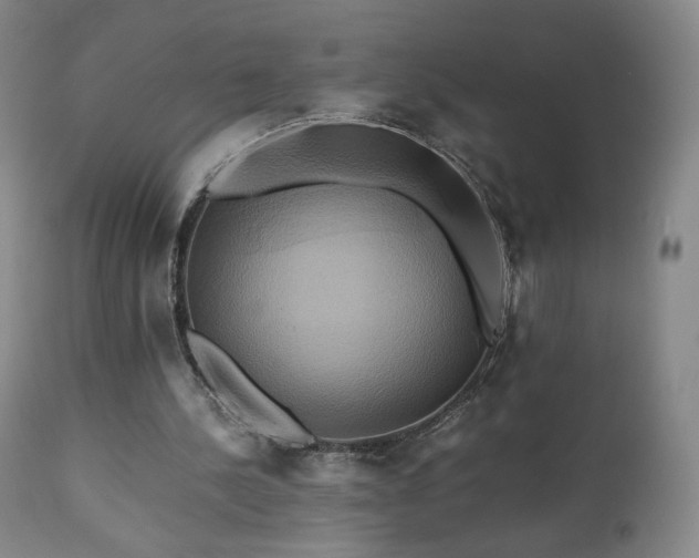 X0000110970244200906191342