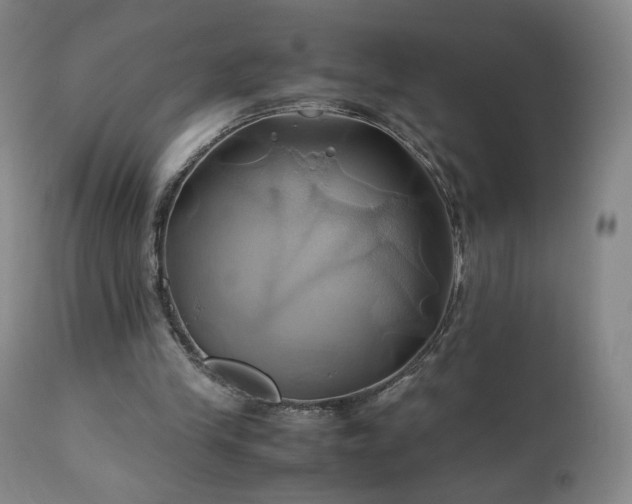 X0000110970245200906191342