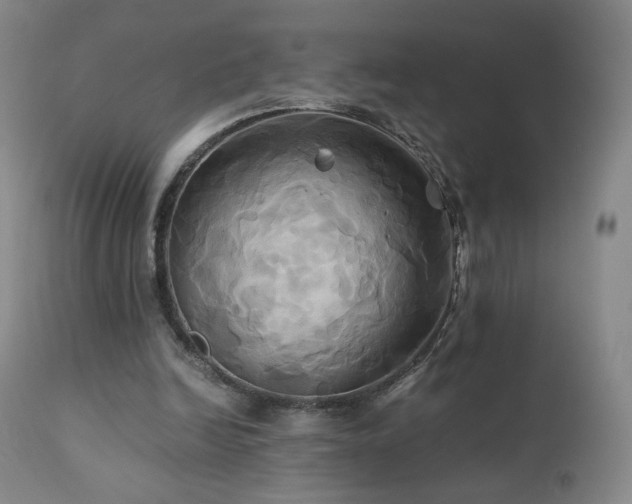 X0000110970246200906191342