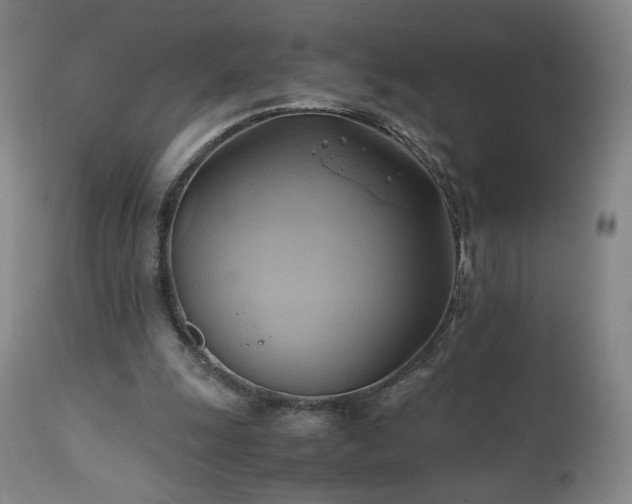 X0000110970247200906191342