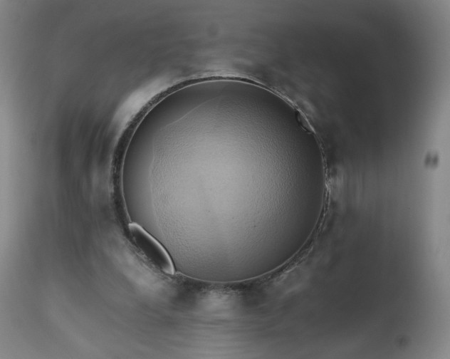 X0000110970248200906191342