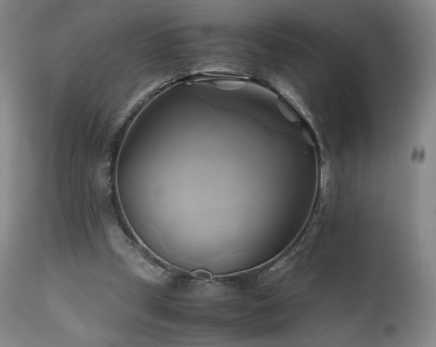 X0000110970249200906191342