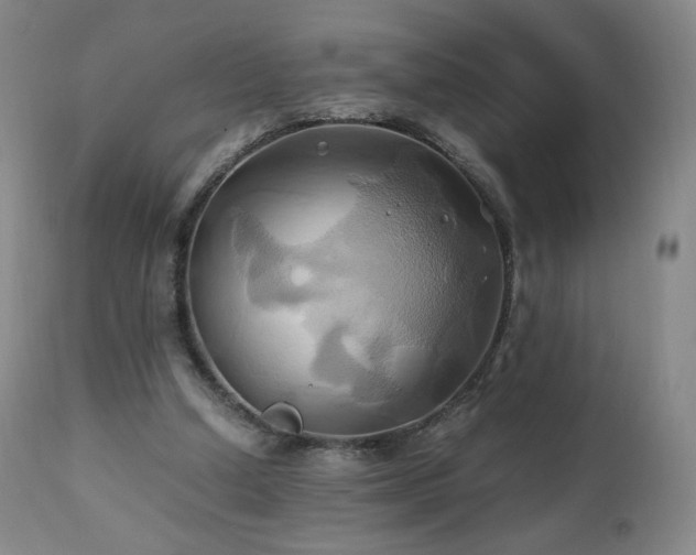 X0000110970250200906191342