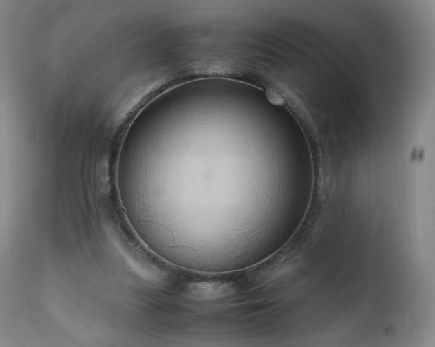 X0000110970251200906191342