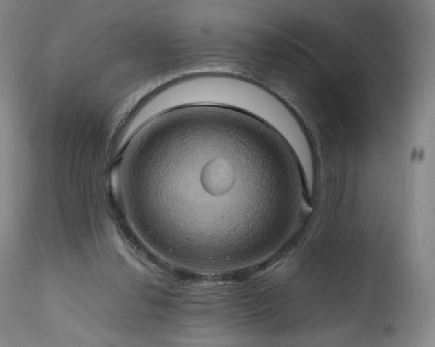 X0000110970252200906191342