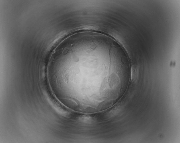 X0000110970253200906191342