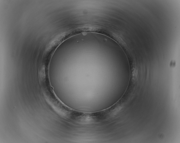 X0000110970254200906191342