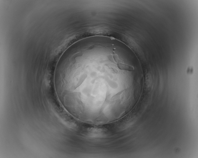 X0000110970255200906191342