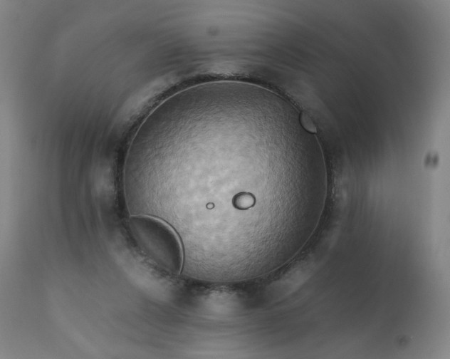 X0000110970256200906191342