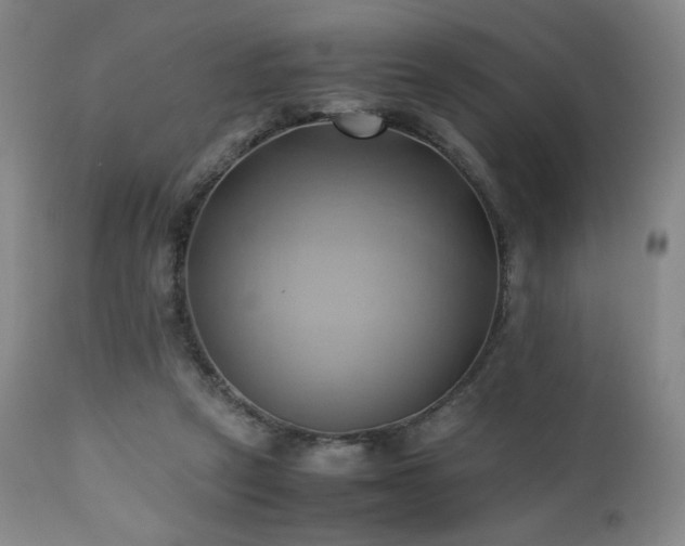 X0000110970257200906191342