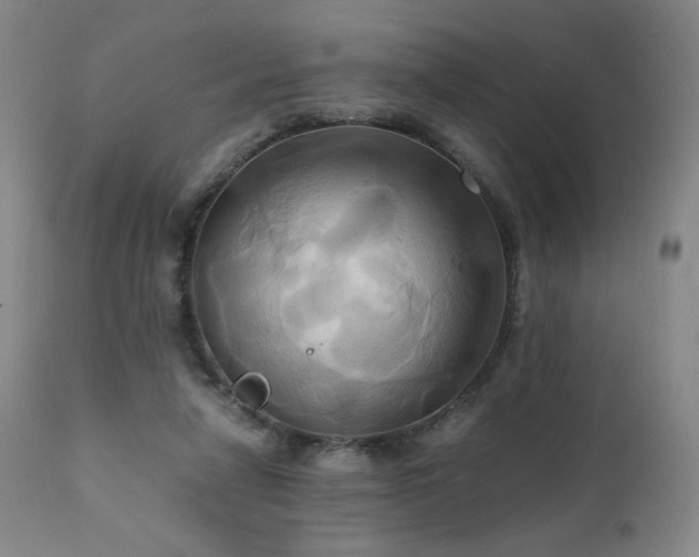 X0000110970258200906191342