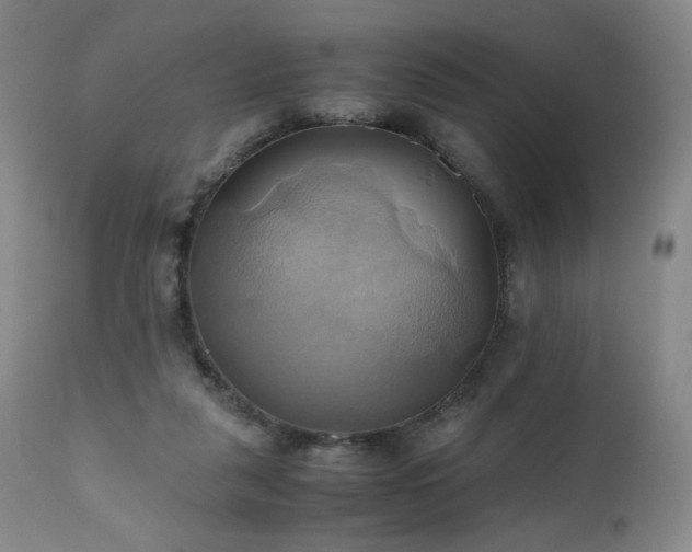 X0000110970259200906191342