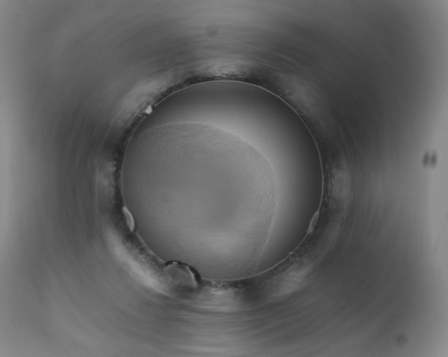 X0000110970260200906191342