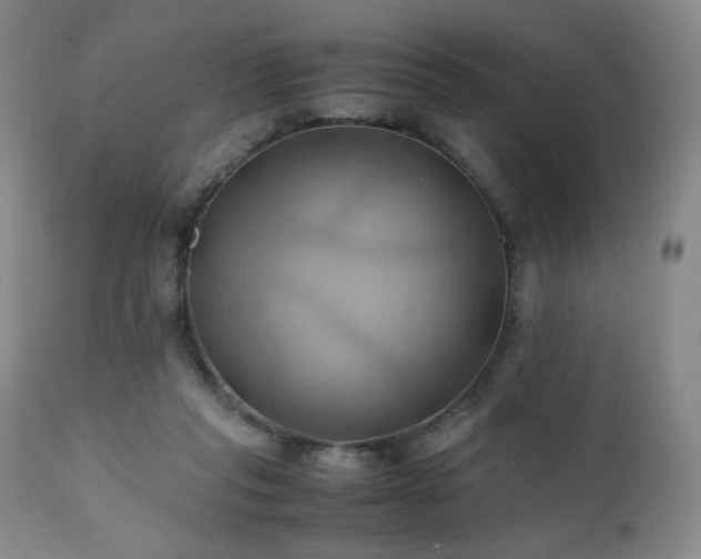 X0000110970261200906191342