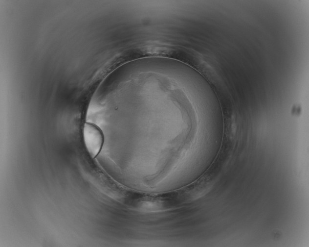 X0000110970263200906191342