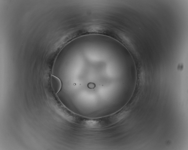 X0000110970265200906191342