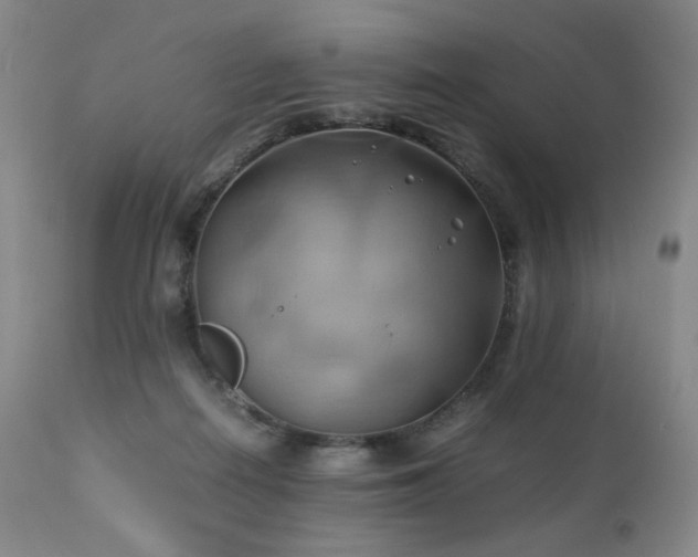 X0000110970266200906191342