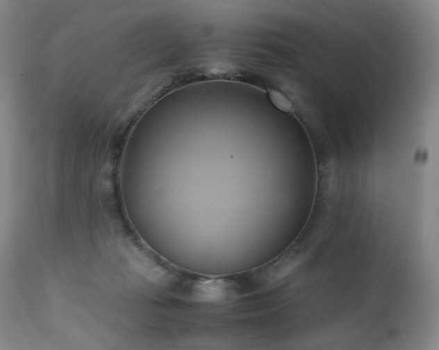 X0000110970269200906191342