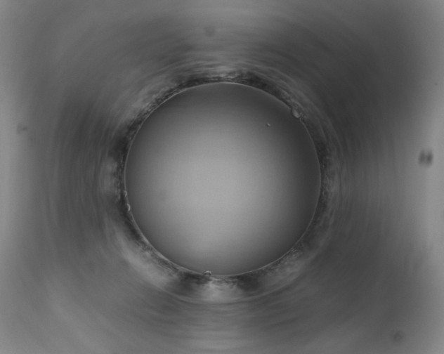 X0000110970270200906191342