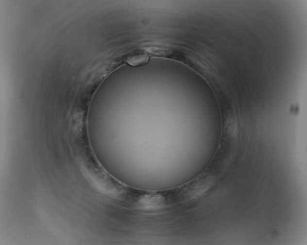 X0000110970271200906191342