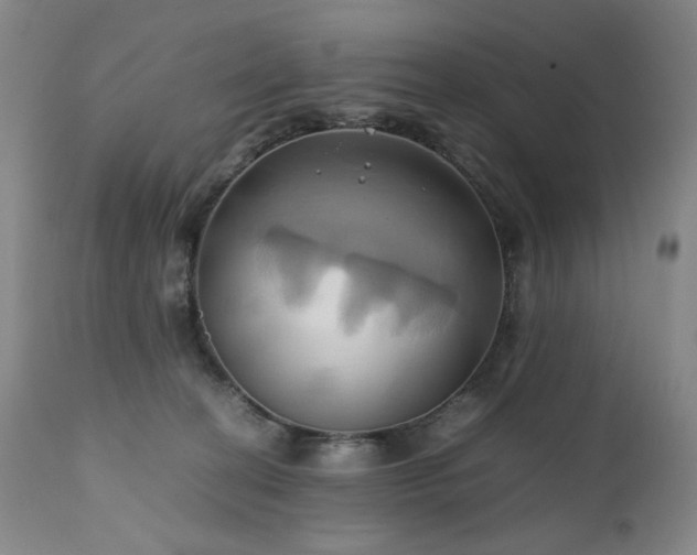 X0000110970274200906191342