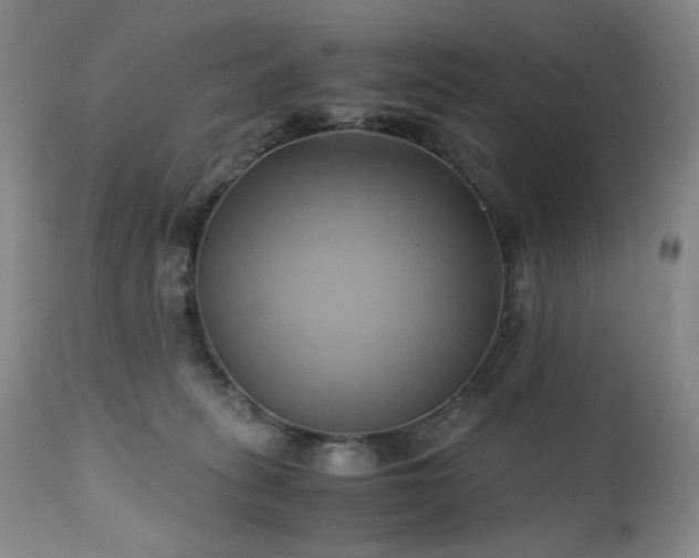 X0000110970275200906191342