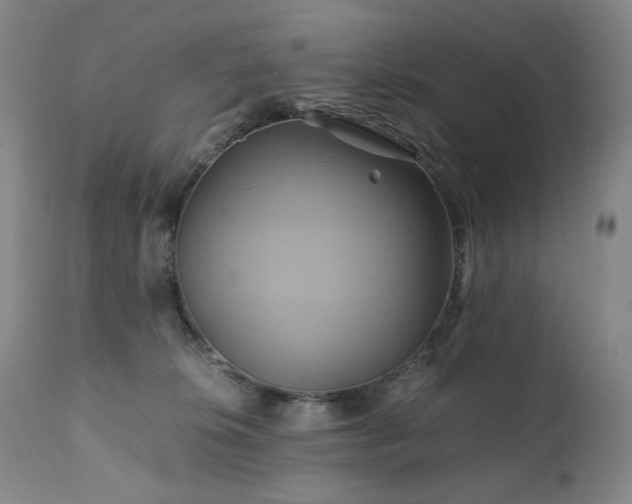 X0000110970276200906191342