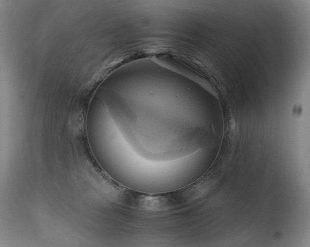 X0000110970277200906191343