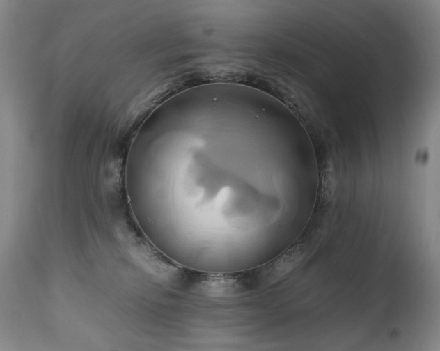 X0000110970278200906191343