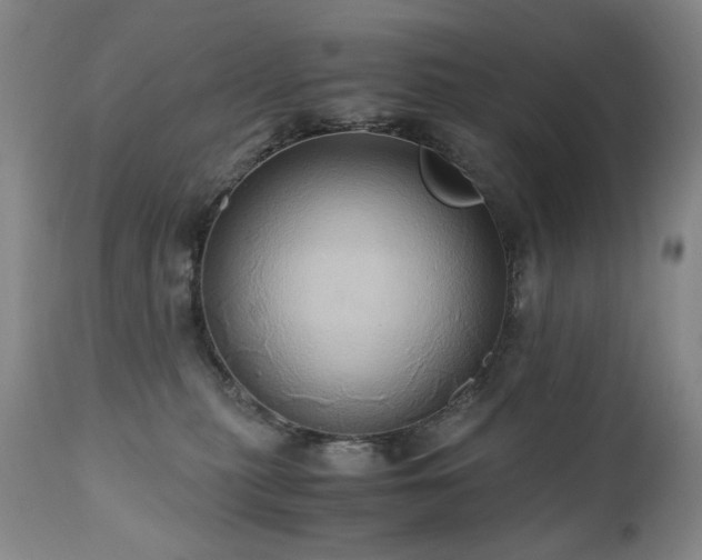 X0000110970279200906191343