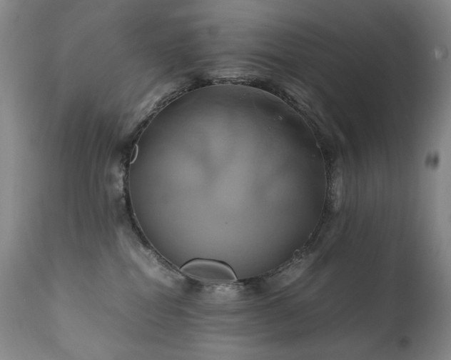 X0000110970282200906191343