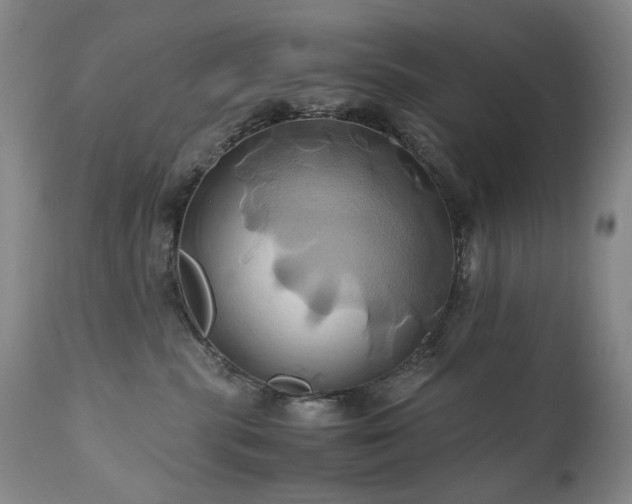 X0000110970283200906191343